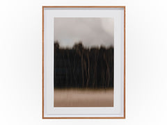 Anthony Ong - Back Woods 1