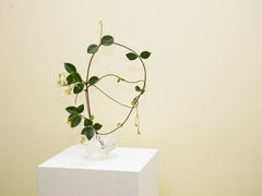 Canyon Vase Mini - Clear