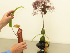 Canyon Vase Mini - Smoke