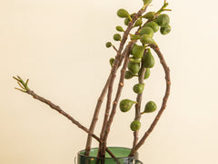 Wind & Fire Vase - Dark Green