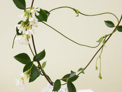 Canyon Vase Mini - Clear