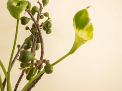 Wind & Fire Vase - Dark Green