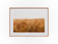 Anthony Ong - Fields of Gold 1