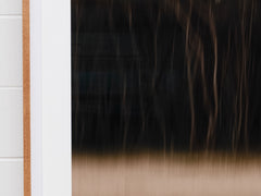 Anthony Ong - Back Woods 1