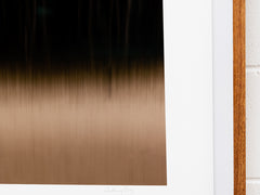 Anthony Ong - Back Woods 1