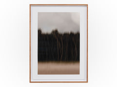 Anthony Ong - Back Woods 1