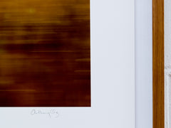 Anthony Ong - Fields of Gold 1