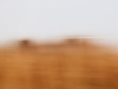 Anthony Ong - Fields of Gold 1