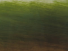 Anthony Ong - Greenlands 1