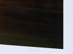 Anthony Ong - Greenlands 1
