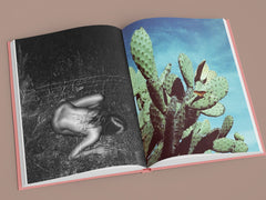 La Isla by Kate Bellm