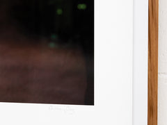 Anthony Ong - The Secret Garden 1